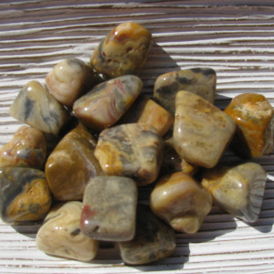 Tumbled Crazy Lace Agate
