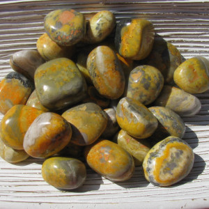 Tumbled Bumble Bee Jasper