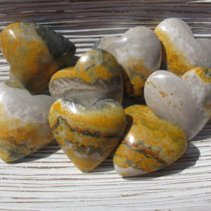 Bumble Bee Jasper Hearts