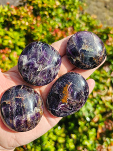 Moroccan Amethyst Palm Stones, Group Picture