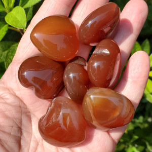 Carnelian Hearts