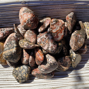 Leopardskin Jasper Tumbled Stones