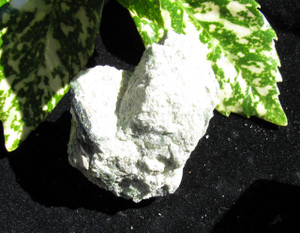ROUGH DIOPSIDE ~ CALMS PETS ~ CONNECT WITH SPIRITUAL TEACHERS & GUIDES (0361)
