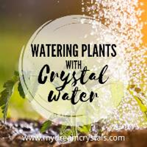 Water Your Plants with Charged Crystal Infused Water