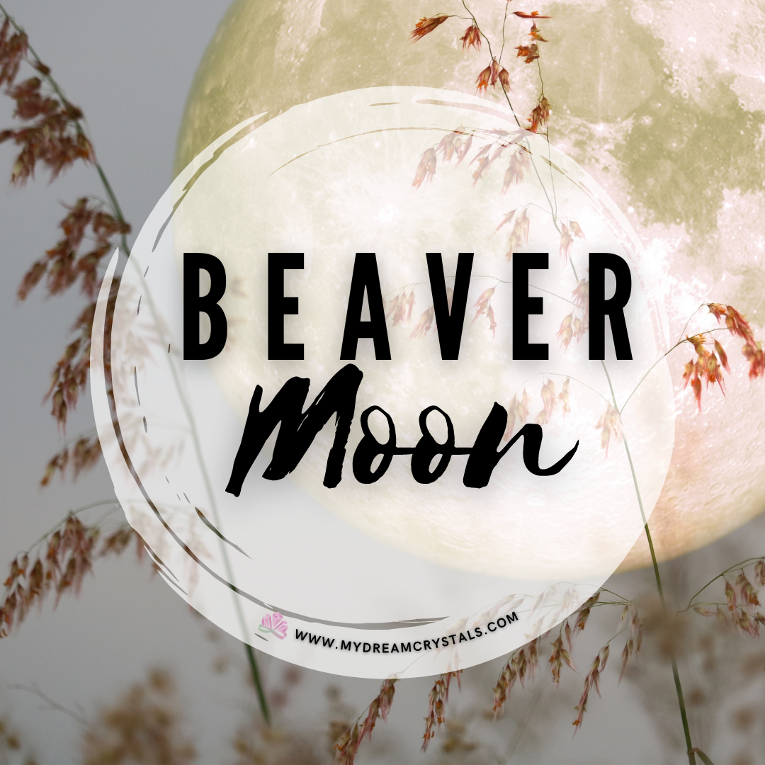 What Is The Beaver Moon My Dream Crystals What Is The Beaver Moon My Dream Crystals