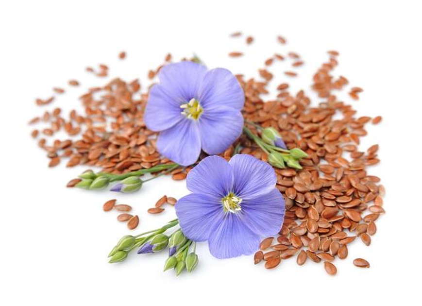 What is Flax Seed?