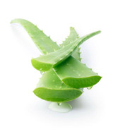 What is ​Aloe Vera?