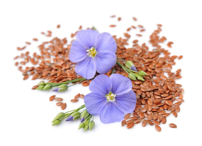 Flax Seed