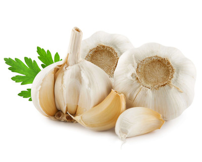 Garlic Bulb Powder