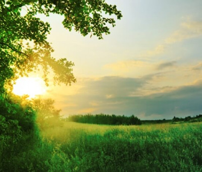DrNatura® Promise