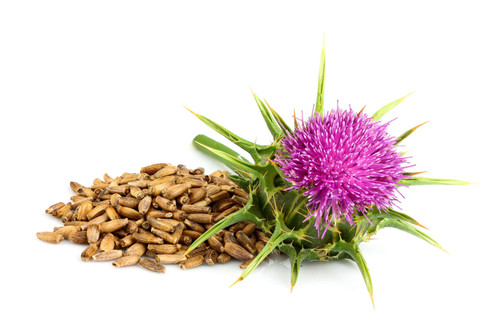 Milk Thistle Seed