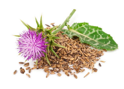 Milk Thistle Seed