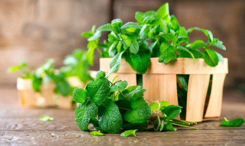Peppermint Leaf