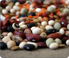 drnatura-fiber-facts-beans-1-.png drnatura-fiber-facts-beans-1-.png