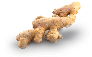 drnatura-herbal-cleanse-ginger-1-.png