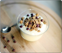 drnatura-probiotic-yogurt-granola-1-.png