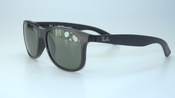 Ray-Ban sunglass model RB 4202 ANDY