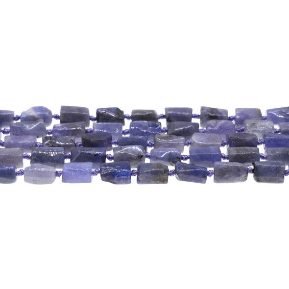 Tanzanite Hexagone Prism Irregular 8x8x10mm - Loose Beads