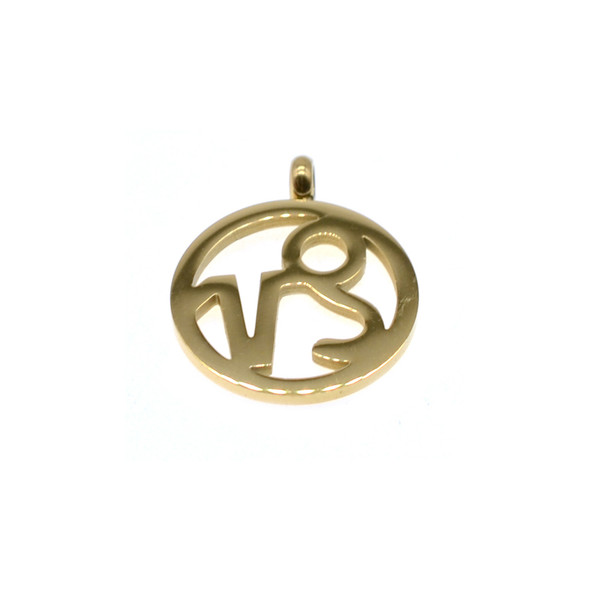 Stainless Steel Charm Zodiac Sign Capricorn 15mm - Gold