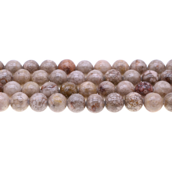 Brown Maifanite Maifan Stone Round 10mm - Loose Beads