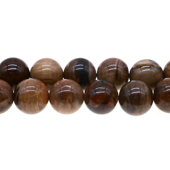 Brown Petrified Wood Round 20mm - Loose Beads