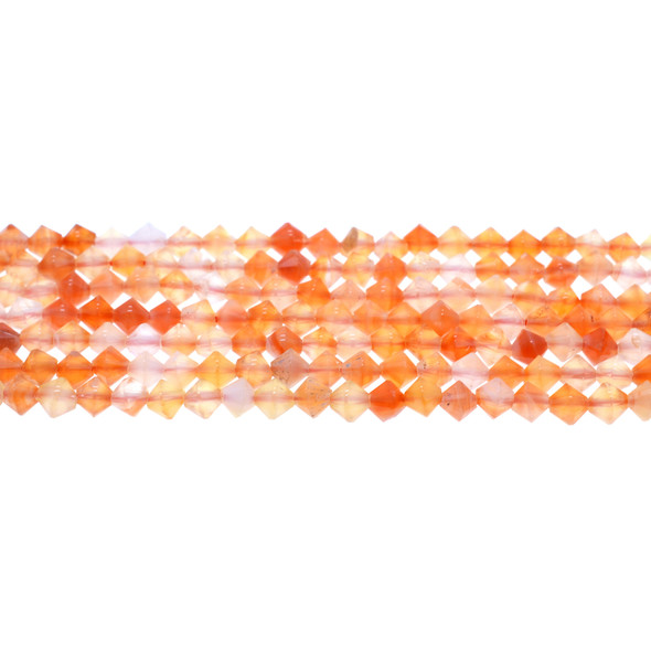 Carnelian Multicolor Bicone 6mm - Loose Beads