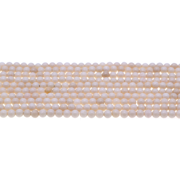 Riverstone Fossil Jasper Round 4mm - Loose Beads