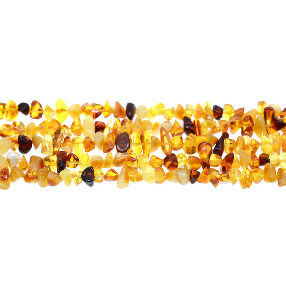 Natural Baltic Amber Chips 7mm x 7mm x 5mm - Loose Beads (Lot RL0120)