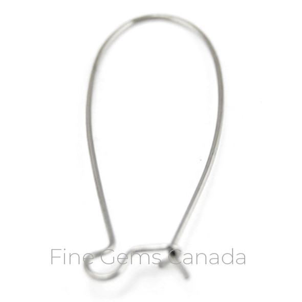 Stainless Steel - Kidney Ear Wire (Extra-Large) - 50/Pack