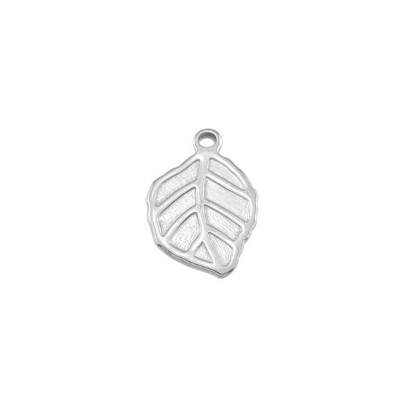 Stainless Steel Leaf Charm - 13x18mm - 9/Pack