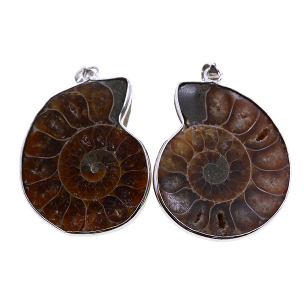 Natural Ammonite Fossil Pendant Part 30mm - Sold as a pair of 2