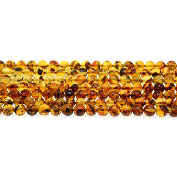 Natural Baltic Amber Round 6mm - Loose Beads (Lot RL075)