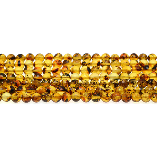 Natural Baltic Amber Round 6mm - Loose Beads (Lot RL076)
