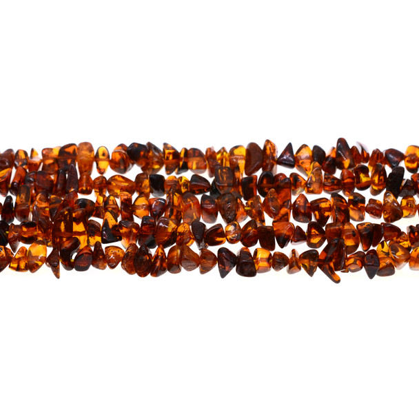 Natural Baltic Amber Chips 7mm x 7mm x 5mm - Loose Beads (Lot RL079)