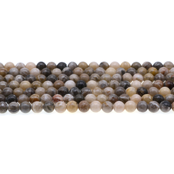 Fossil Coral Round 6mm - Loose Beads