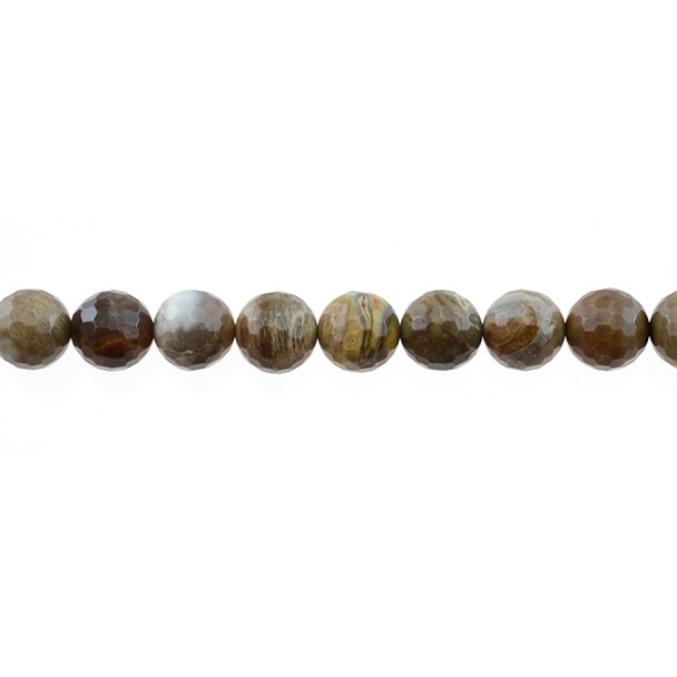 Petrified Wood Jasper Round Faceted 10mm - Loose Beads