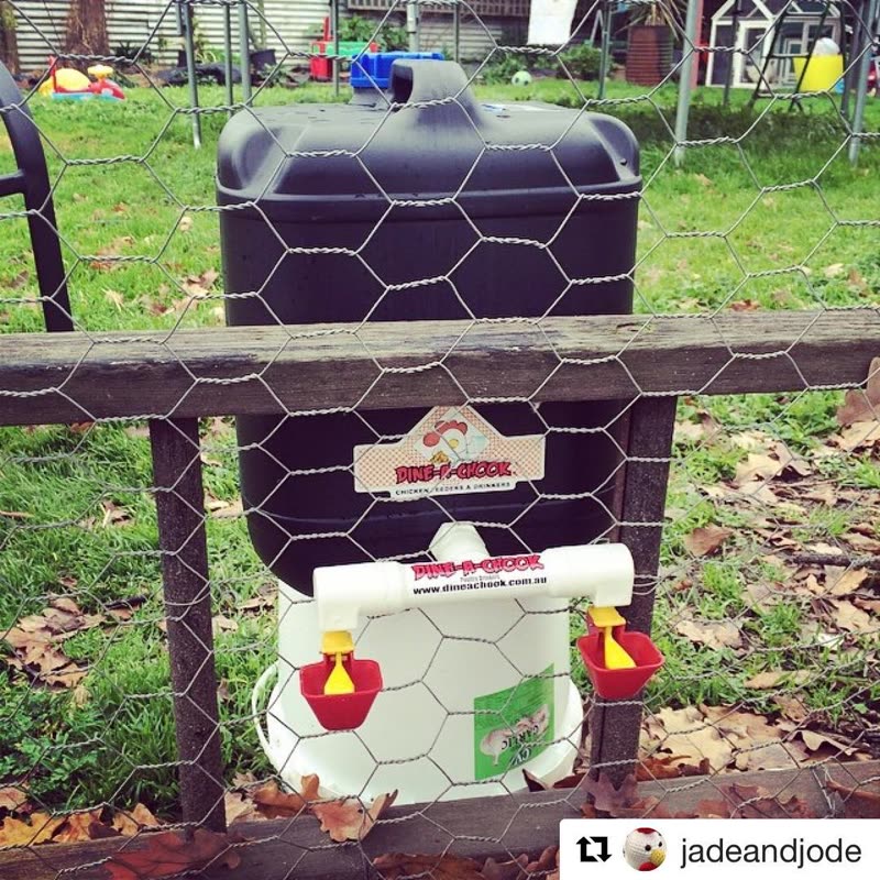 Dine-A-Chook customer photo: 20 Litre Double Outlet Lubing Cup