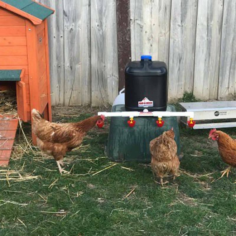 Dine-A-Chook customer photo: Who has spent some time today hanging around the water cool chatting with your colleagues?