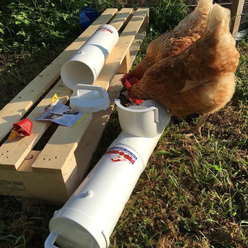 Dine-A-Chook customer photo: Hands up if you are mounting your new @dineachook feeder or drinker this