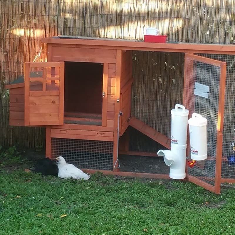 Dine-A-Chook customer photo: Such a cute little set