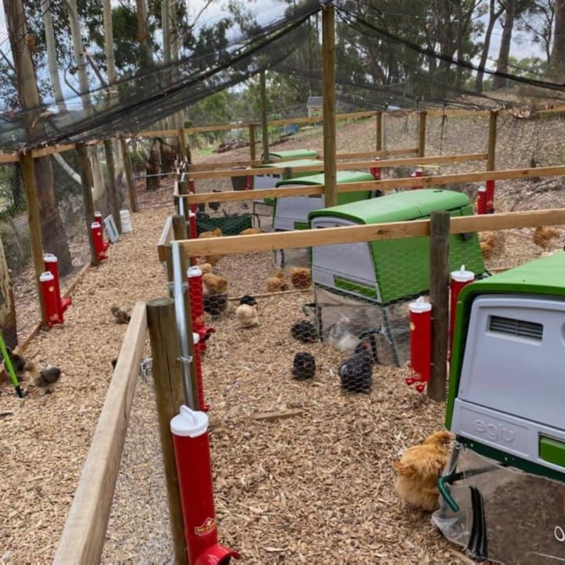 Dine-A-Chook customer photo: Breeder pens done