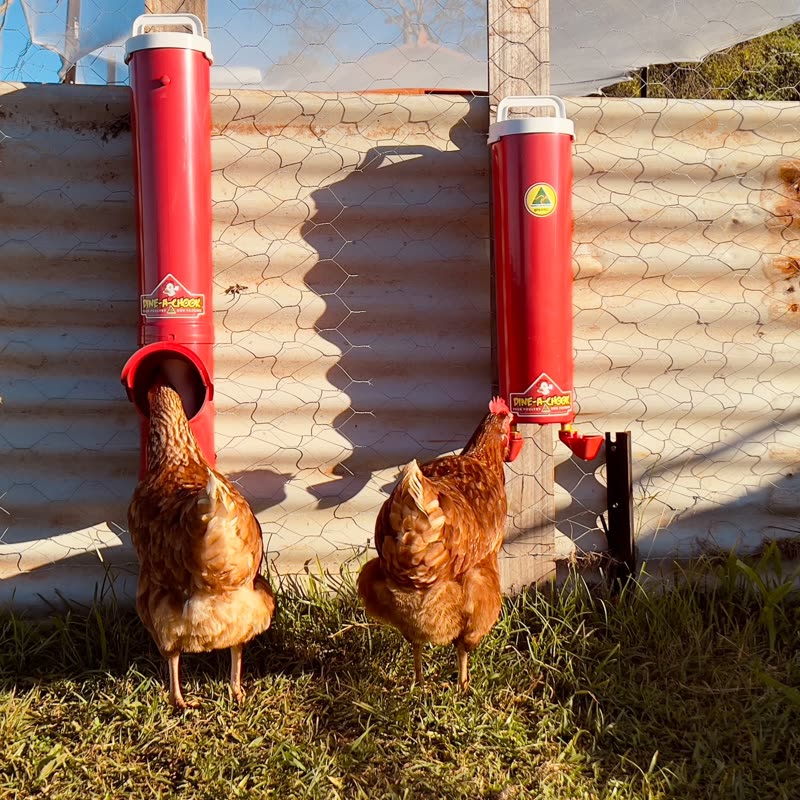 Dine-A-Chook customer photo: Bring a little of the country life to your