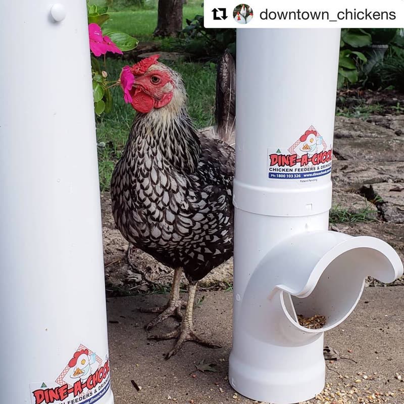 Dine-A-Chook customer photo: Sometimes you just have to stop and smell the