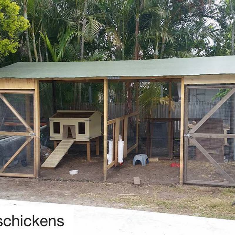 Dine-A-Chook customer photo: How's this for a roomy coop, complete with @fizzyschickens () ・・・ This is an older pic of