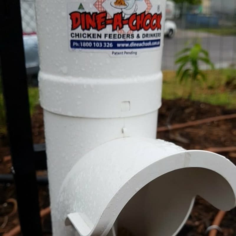 Dine-A-Chook customer photo: Its raining, it's