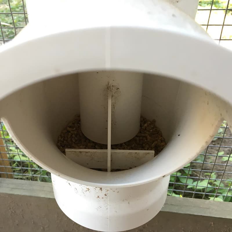 Dine-A-Chook customer photo: Look deep into my