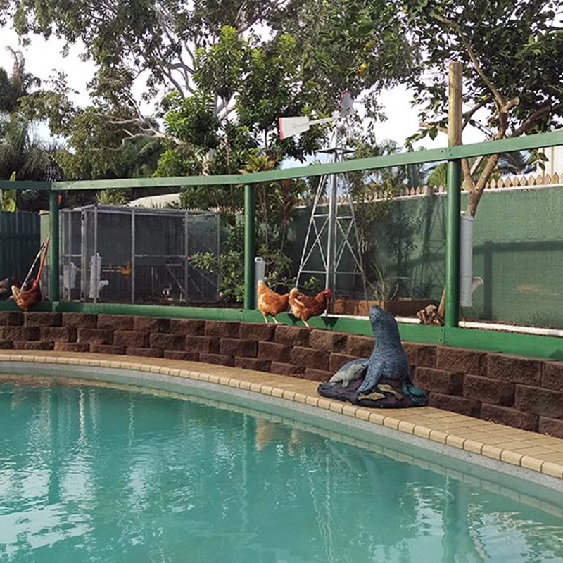 Dine-A-Chook customer photo: Right in your own