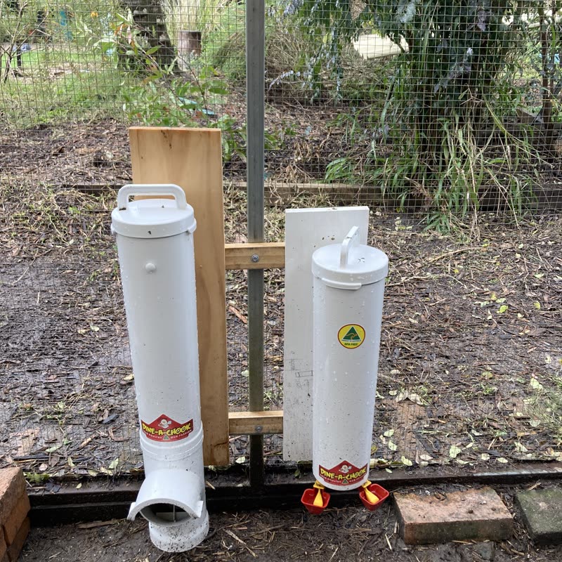 Dine-A-Chook customer photo: We are very happy with our new dine-o-chook waterer and