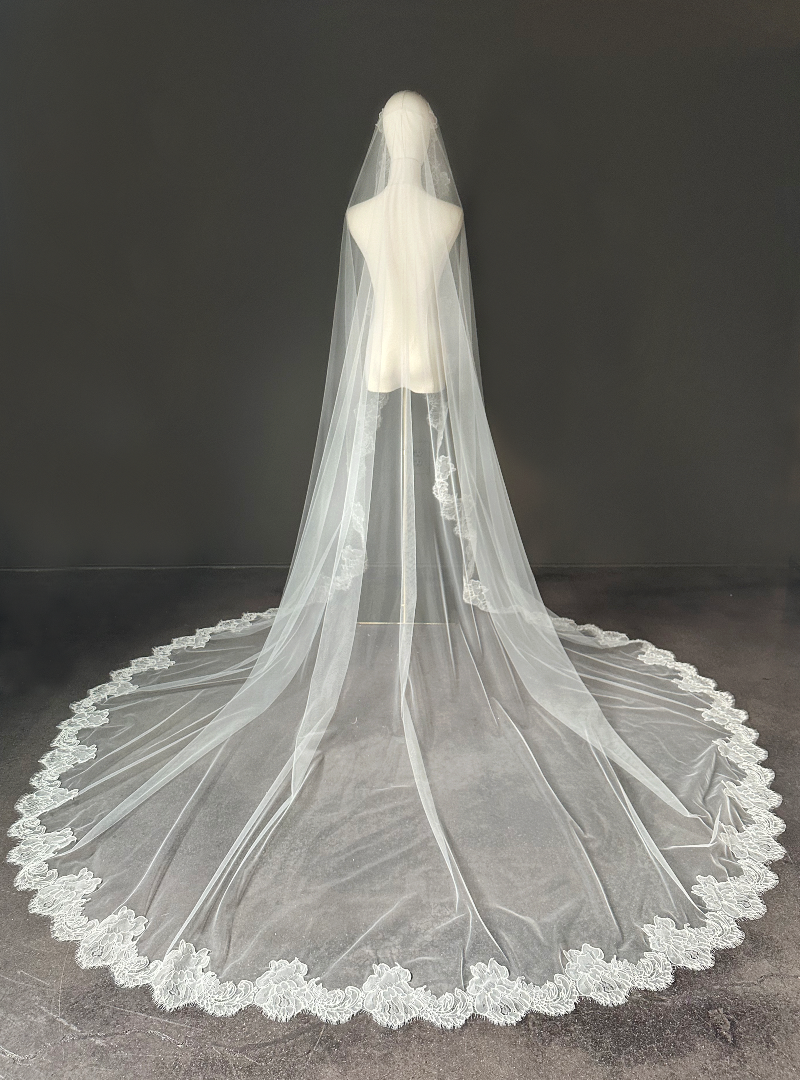 Aditi veil - Sara Gabriel Professional