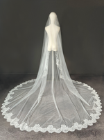 Aditi veil